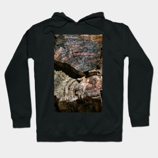 Petrified Forest Abstract Hoodie